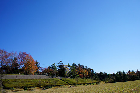 f0345284_19271893.jpg