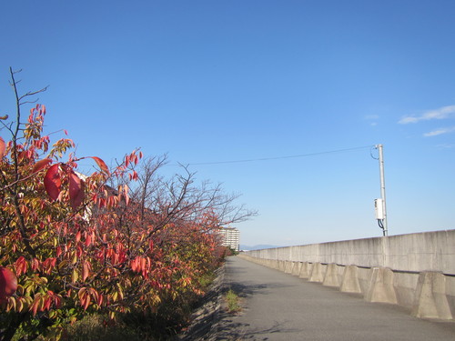 a0251786_1925630.jpg