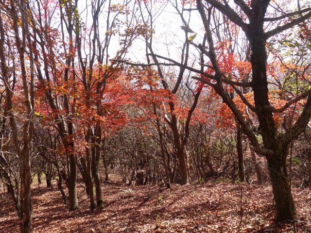 f0357487_20371195.jpg