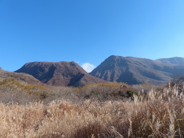 f0357487_20385746.jpg