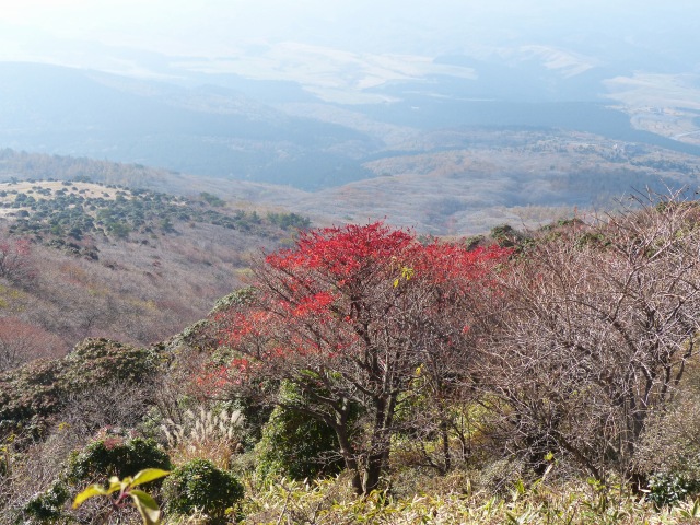 f0357487_20402724.jpg