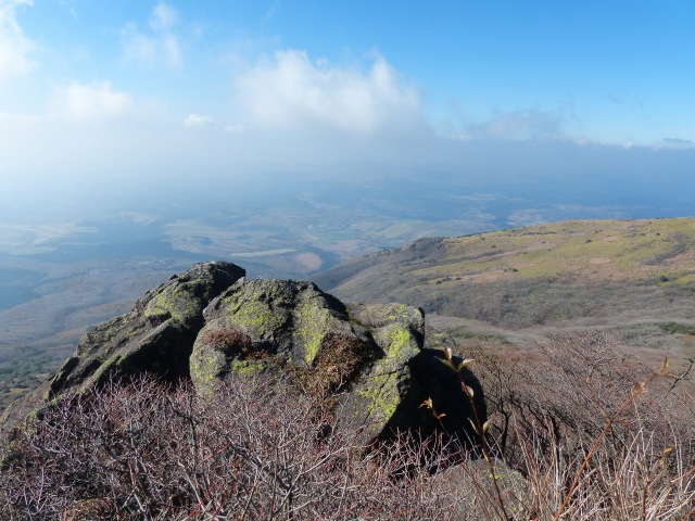f0357487_2040534.jpg