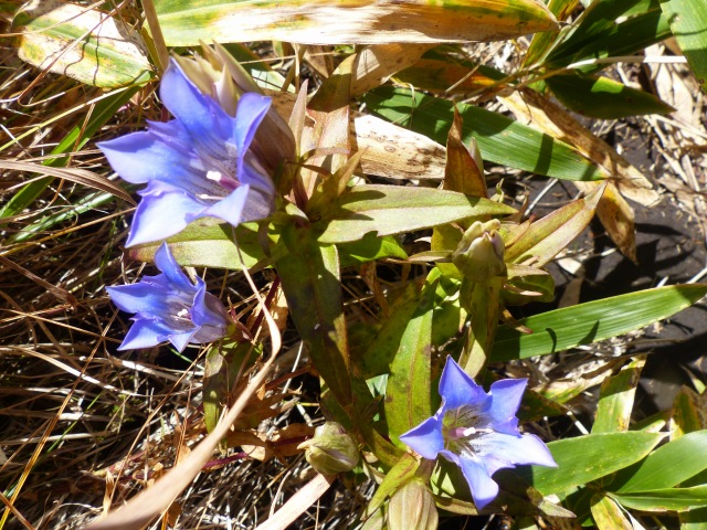 f0357487_20485770.jpg