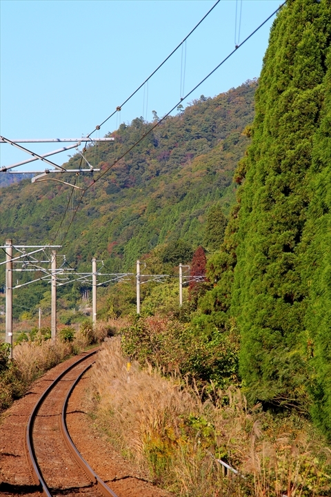 a0335890_19234624.jpg