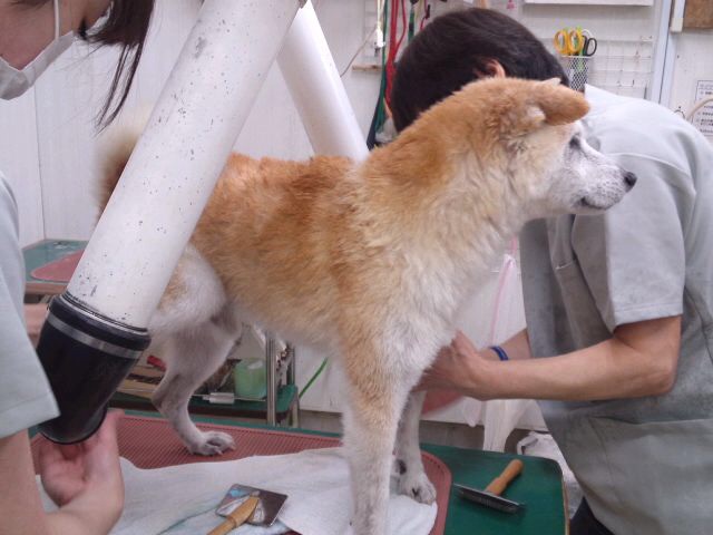 c0123890_20392136.jpg