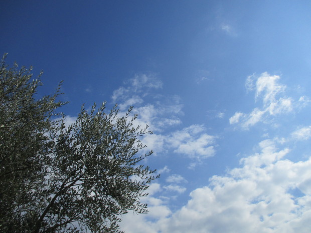 d0333091_1853879.jpg