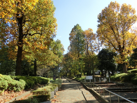 a0319693_832920.jpg