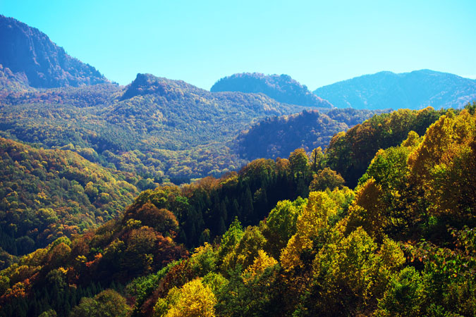 a0263109_19113754.jpg
