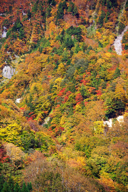a0263109_19124474.jpg