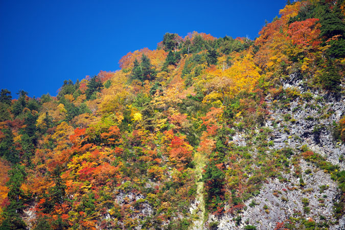a0263109_19141854.jpg