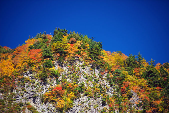 a0263109_1914416.jpg