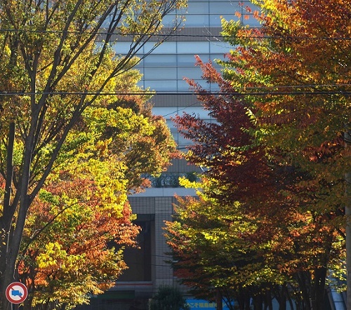 c0247614_141510100.jpg