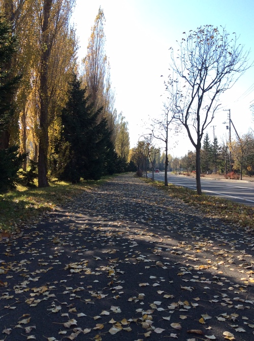 e0052716_13344796.jpg