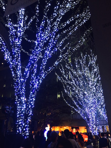 e0141819_1002928.jpg
