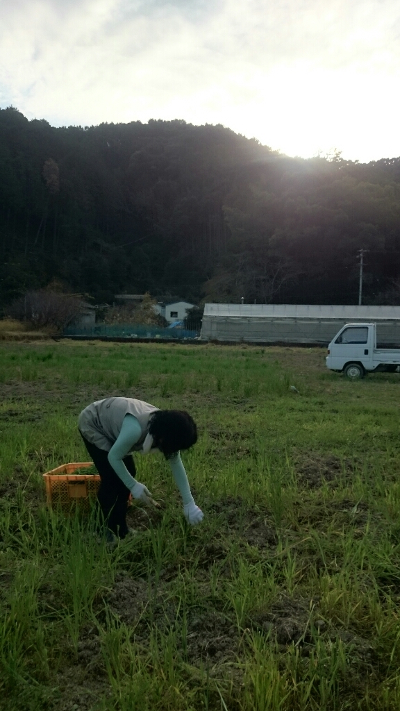 b0187620_21172272.jpg