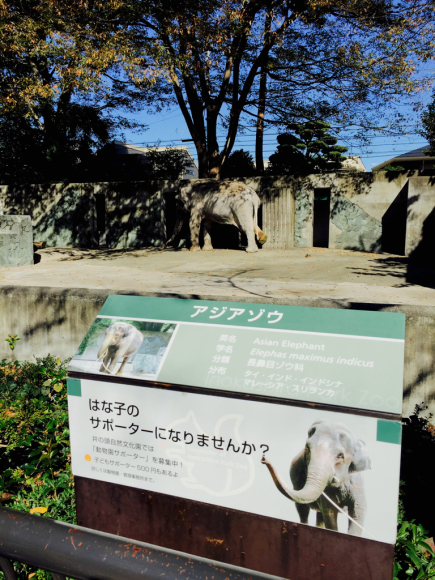b0203925_19573201.jpg