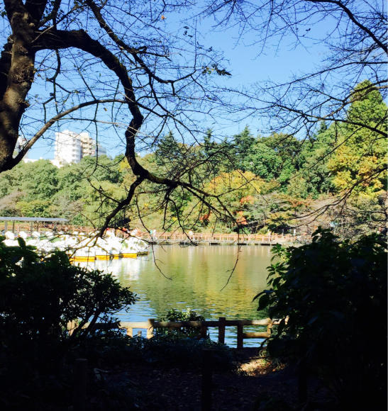 b0203925_19573350.jpg