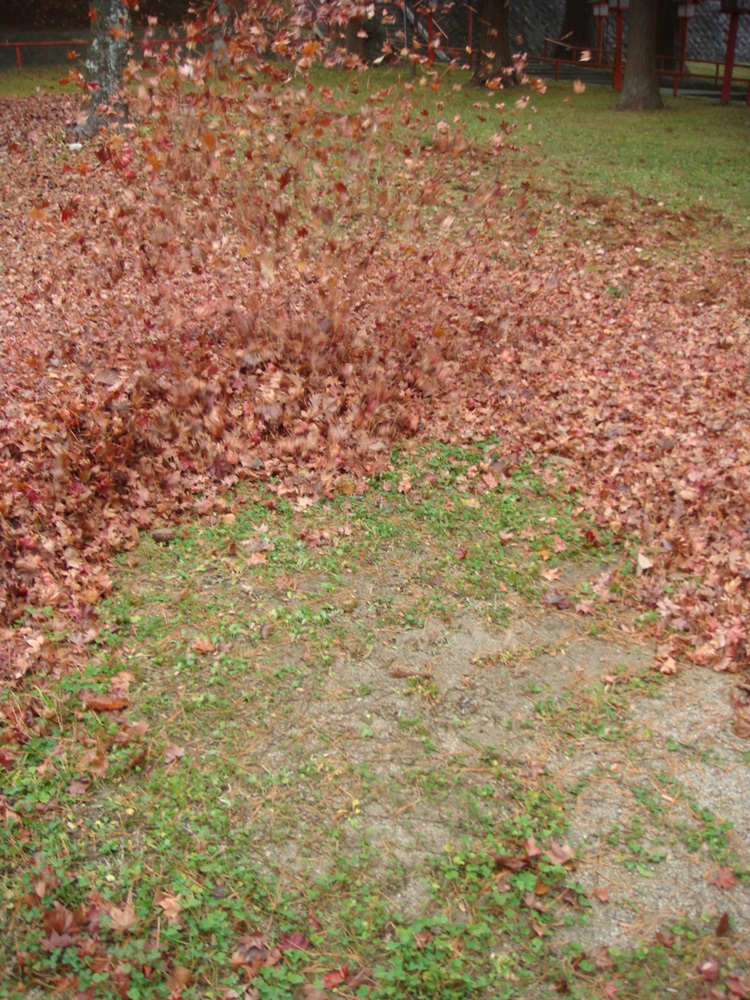 c0111229_18515465.jpg