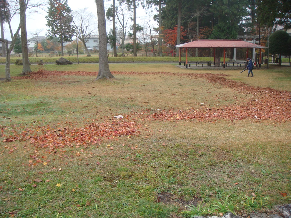 c0111229_18521100.jpg