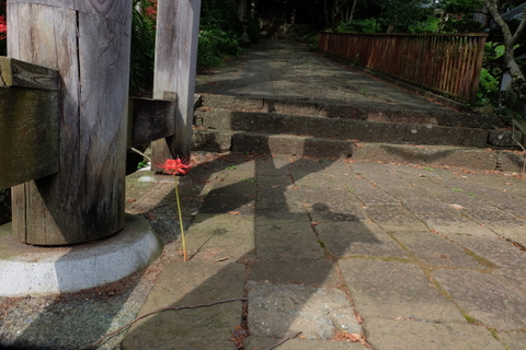 b0281732_11422019.jpg