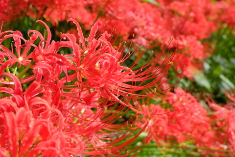 b0281732_11425699.jpg