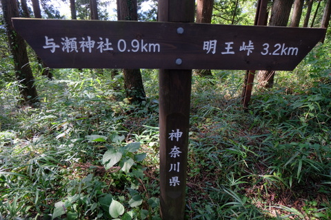 b0281732_11433433.jpg