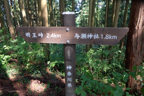 b0281732_1143426.jpg