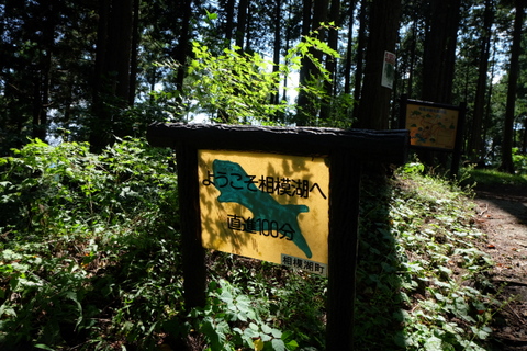 b0281732_11435632.jpg