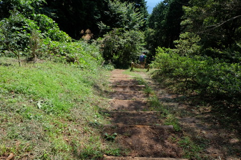 b0281732_11441192.jpg