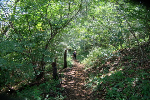 b0281732_11444070.jpg