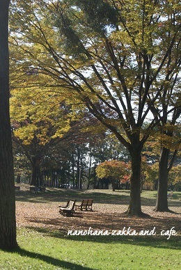 b0151533_21335580.jpg