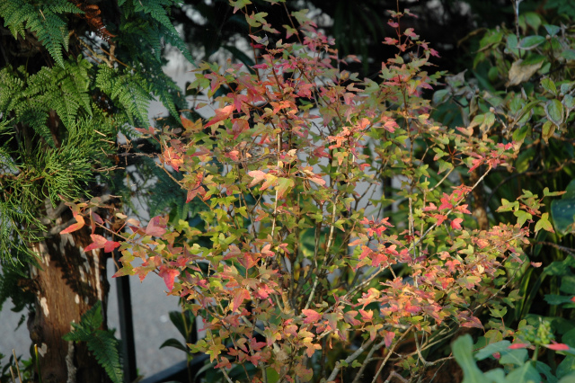e0272335_15263669.jpg