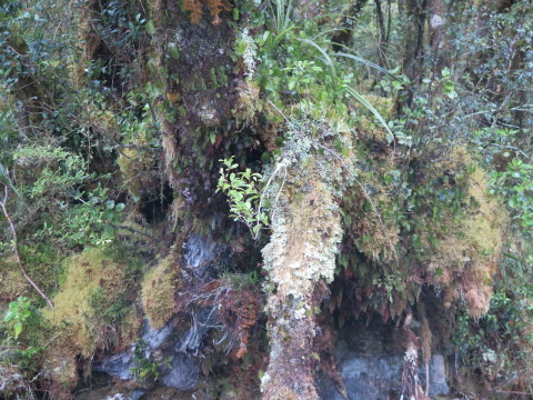 b0334436_10551826.jpg
