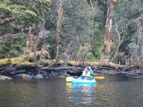b0334436_10561656.jpg