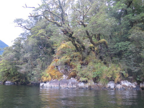 b0334436_10574615.jpg