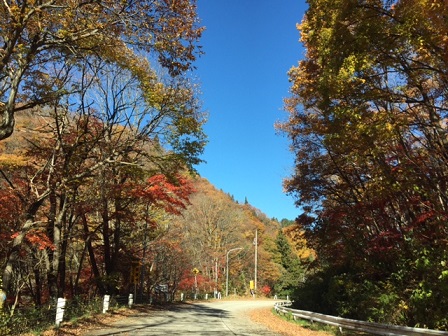 a0272241_19254520.jpg