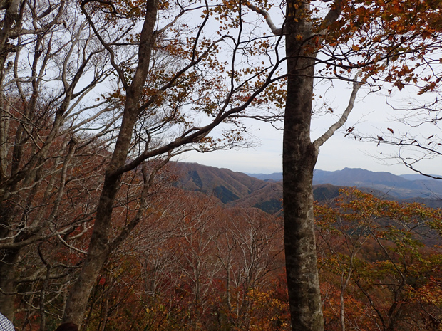 f0214649_6182296.jpg