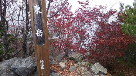b0148050_10224089.jpg