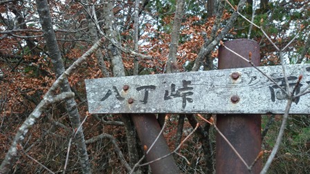b0148050_10232079.jpg