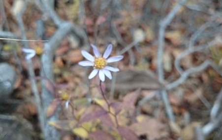 b0148050_10264132.jpg