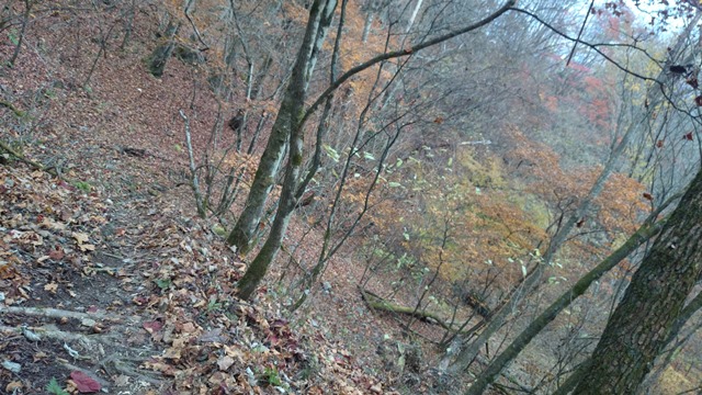 b0148050_10303213.jpg