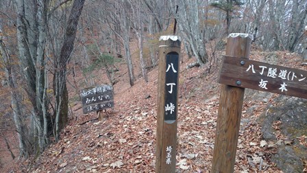 b0148050_8563719.jpg