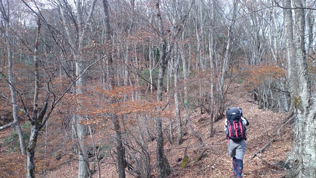 b0148050_8571026.jpg