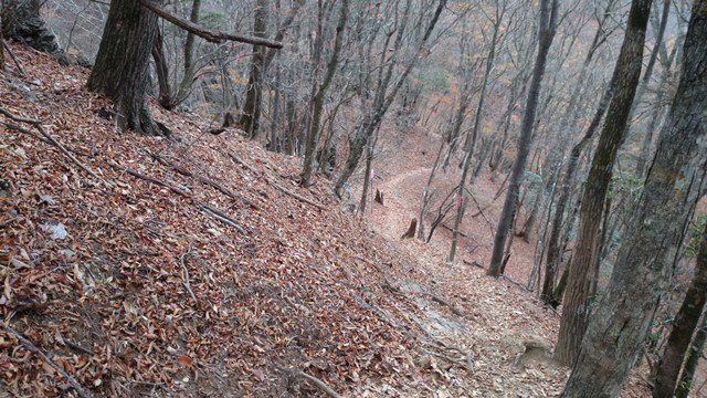 b0148050_8581276.jpg