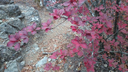 b0148050_8581989.jpg