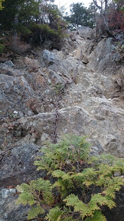 b0148050_8591641.jpg