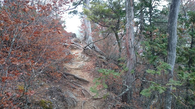 b0148050_8594428.jpg