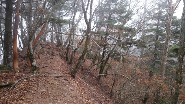 b0148050_90974.jpg