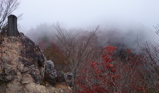 b0148050_911315.jpg