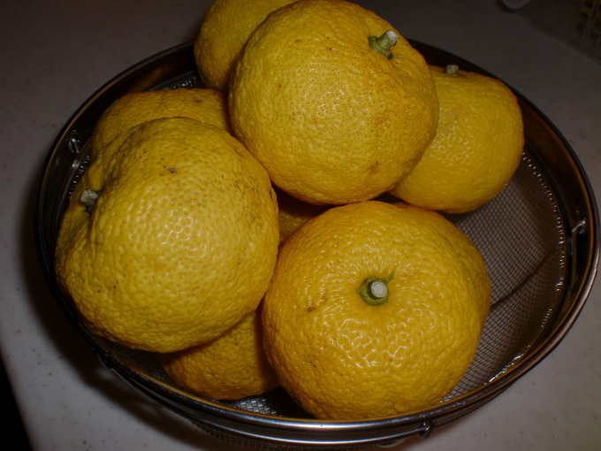 d0154954_14152355.jpg